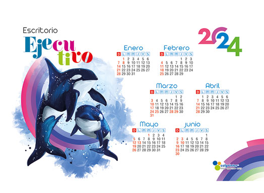 Escritorio Ejecutivo 